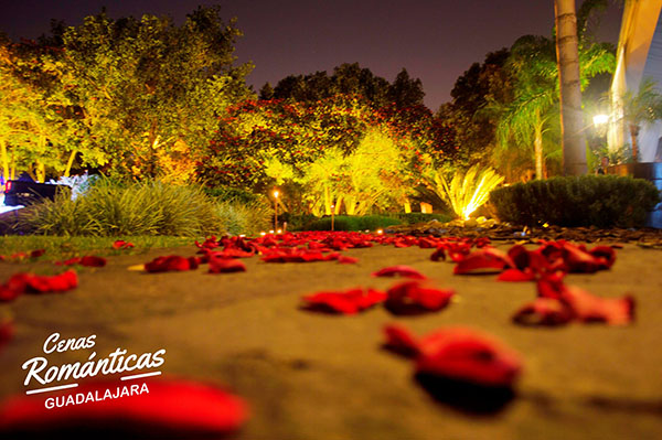 Decoración para cenas románticas